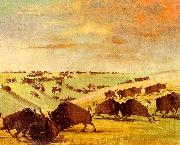 George Catlin Buffalo Bulls Fighting in Running Season-Upper Missouri Norge oil painting reproduction